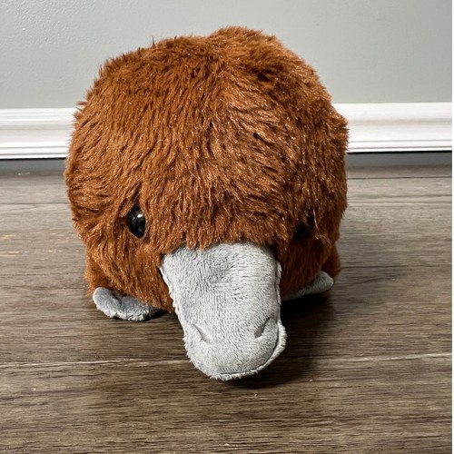 Cute cuddly platypus plush - cuddly,